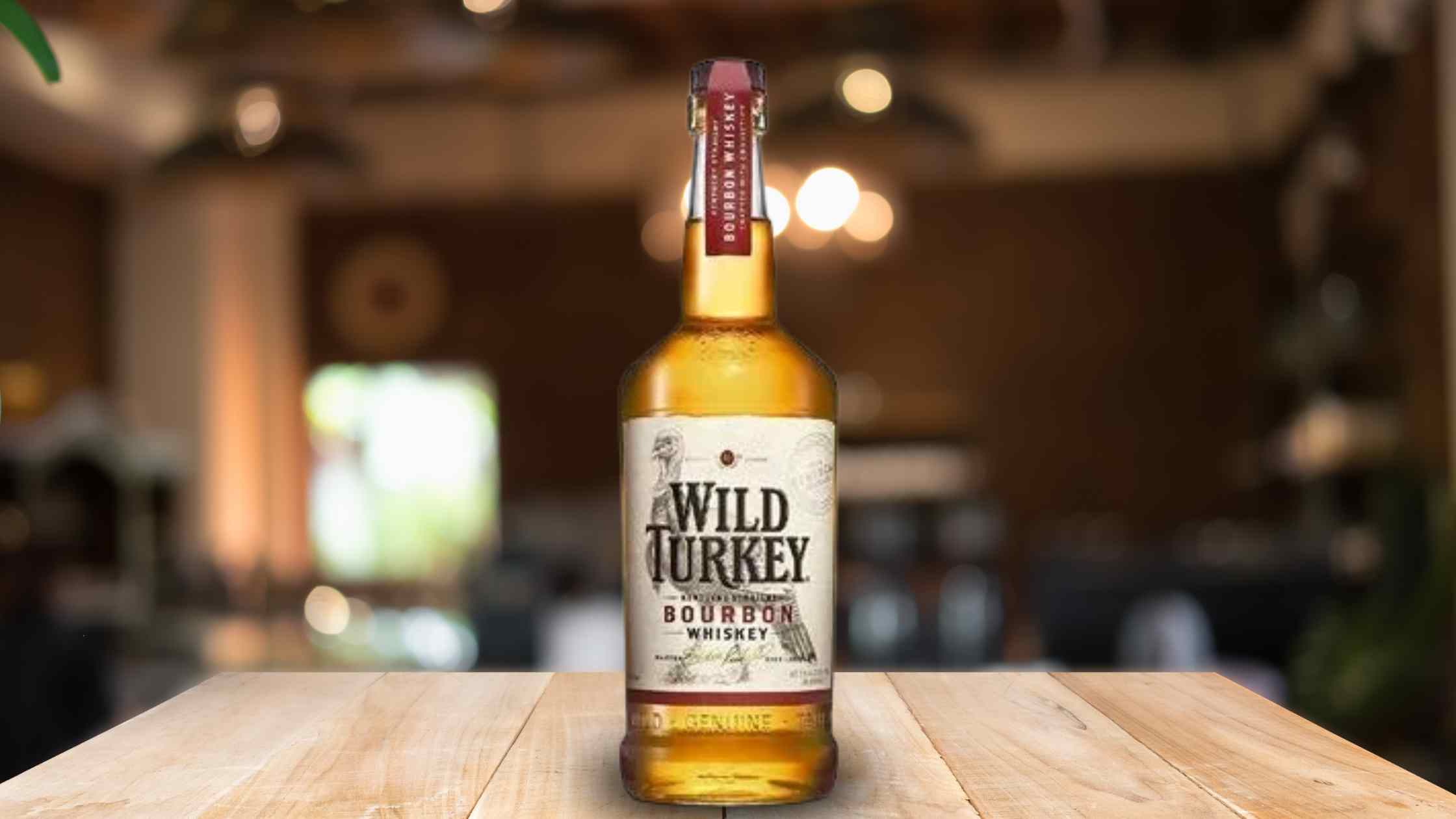 wild turkey